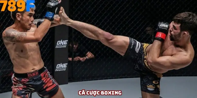Cá cược boxing là gì? Mẹo hay bắt kèo dễ thắng nhất