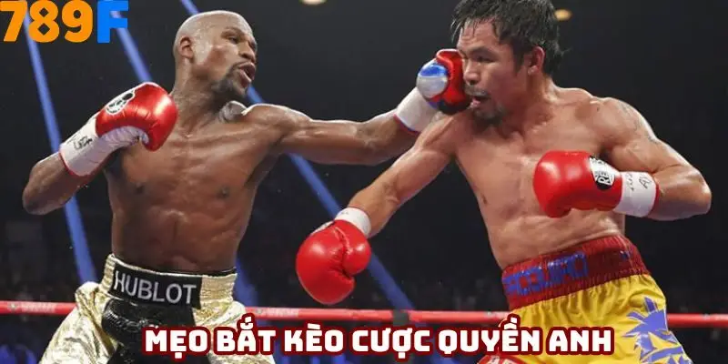 Mẹo bắt kèo cược quyền anh hiệu quả nhất