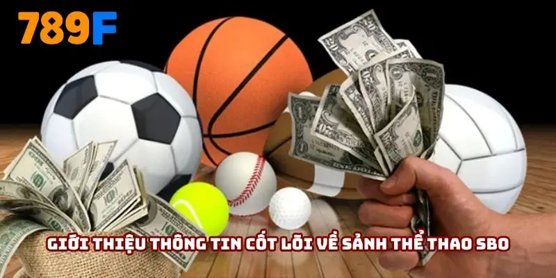 Giới thiệu thông tin cốt lõi về sảnh thể thao SBO