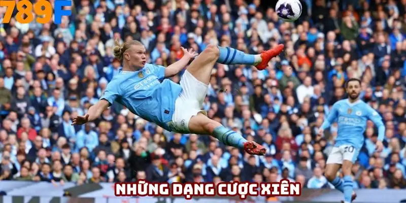 Những dạng cược xiên được chơi nhiều nhất