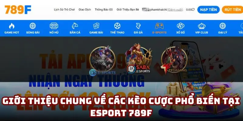 Giới thiệu chung về các kèo cược phổ biến tại Esport 789F