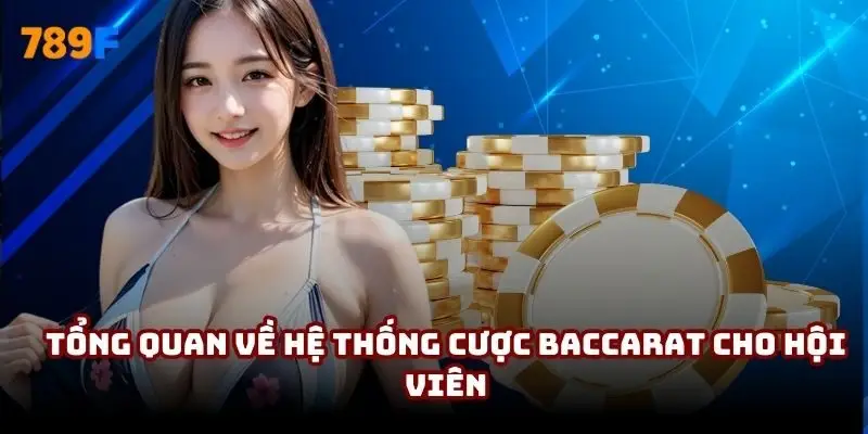 Tổng quan về hệ thống cược Baccarat cho hội viên