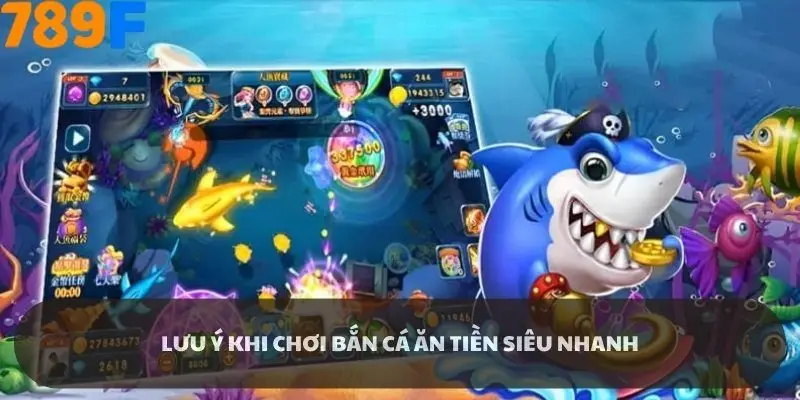 Lưu ý giúp bạn vừa thư giãn vừa kiếm được tiền nhờ săn cá